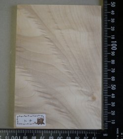 画像3: 木のはがき　トチ　5×100×150mm