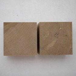 サクラ・木口面