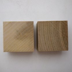 カツラ・木口面