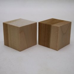 カツラ【WEB限定】