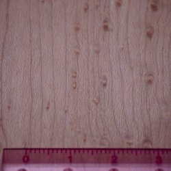 画像5: 木のはがき　バーザイメープル　5×100×150mm