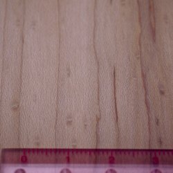 画像6: 木のはがき　バーザイメープル　5×100×150mm