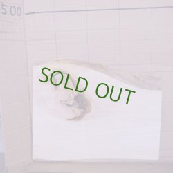 画像3: シナ耳付き板材　約15×320×415mm