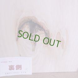 画像13: シナ耳付き板材　約15×320×415mm