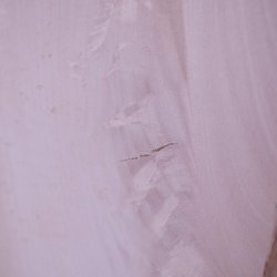 画像15: シナ耳付き板材　約15×315×755mm