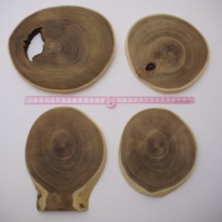 画像3: エンジュ輪切り　15-No.1000 （厚み15mm）