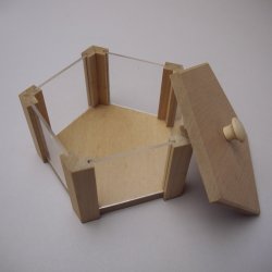 画像1: 五角形箱（アクリル板使用）工作キット