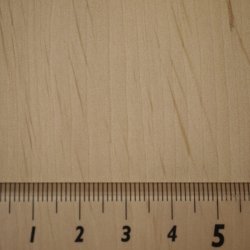 画像5: 木のはがき　ヤチハン　5×100×150mm