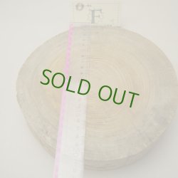 画像3: ケヤキ輪切り　60（厚み60mm）-F【WEB限定】