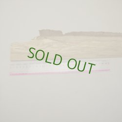 画像3: カシ　板材料　3×95×620mm (6)　