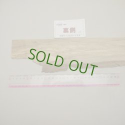 画像5: カシ　板材料　3×95×620mm (6)　