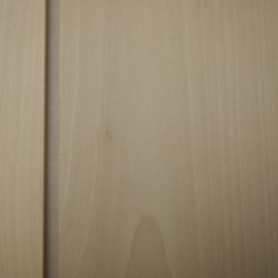 画像5: 【こだわり】木のはがき「ミズキ」