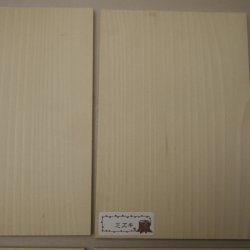 画像4: 【こだわり】木のはがき「ミズキ」