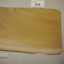 画像6: ケヤキ板材料　3×290×625mm (1)　