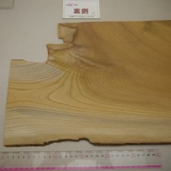 画像5: ケヤキ板材料　3×290×625mm (1)　