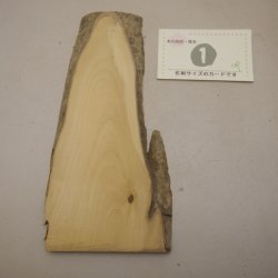 画像3: ツゲ材料　10mm厚　10－1300-[1・2・3・4]　【限定】