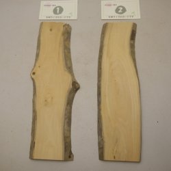 画像1: ツゲ材料　10mm厚　10－1500-[1・2]　【限定】