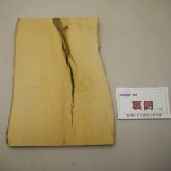 画像2: ツゲ材料　15mm厚　15－3000　【限定】