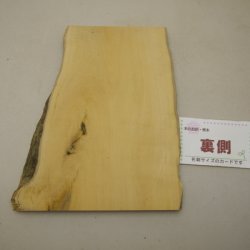 画像2: ツゲ材料　15mm厚　15－2700　【限定】