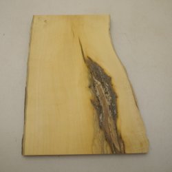 画像1: ツゲ材料　15mm厚　15－2700　【限定】