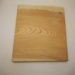 画像3: ケヤキプレート 　NO.7000