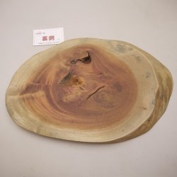 画像4: ケヤキプレート 　NO.4500