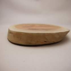 画像5: ケヤキプレート 　NO.4500