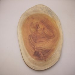 画像1: ケヤキプレート 　NO.4500