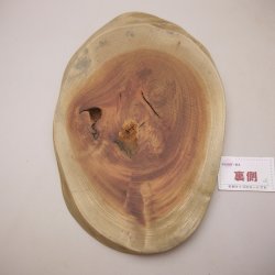 画像2: ケヤキプレート 　NO.4500