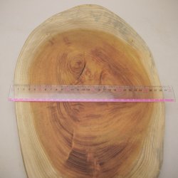 画像9: ケヤキプレート 　NO.4500