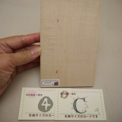 画像14: 【こだわり】木のはがき「カエデ」　［(3)‐A〜(6)‐E］