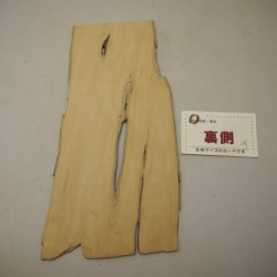 画像2: ツゲ材料　5mm厚　5－1500-[4]　【限定】