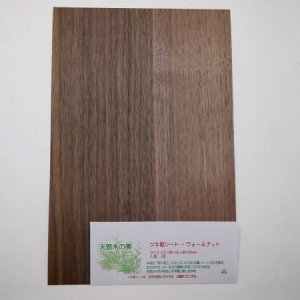 画像: ツキ板シート・ウォールナット（Walnut）　0.2×195×295mm【WEB限定】