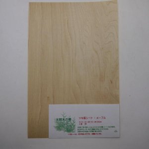 画像: ツキ板シート・メープル（Maple）　0.2×195×295mm【WEB限定】