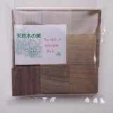 画像: ウッドピース　 ウォールナット　5×30×30mm(30個入り)【WEB限定】