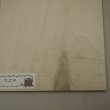 画像7: 木のはがき　ミズキ　5×100×150mm