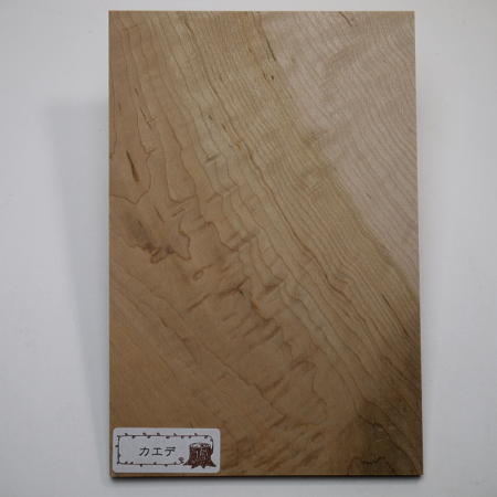 画像5: 木のはがき　カエデ　5×100×150mm
