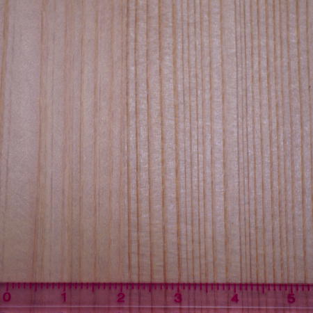 画像: ツキ板シート・スギ（杉）　0.2×195×295mm【WEB限定】