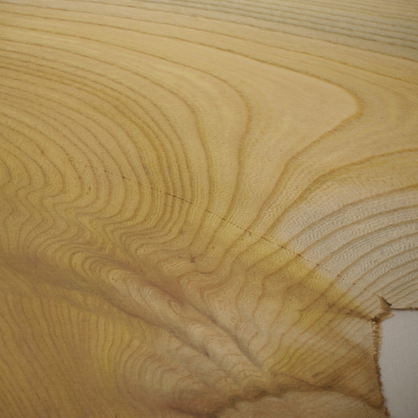 画像: ケヤキ板材料　3×290×625mm (1)　