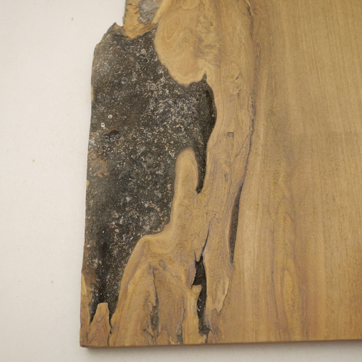 画像8: チーク　板材料　20×350×470mm 